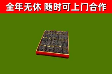 罗城县回收海参